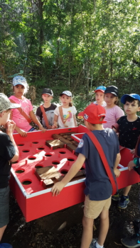 Year 4 Camp 2018 8