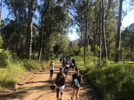 Year 6 Camp Bush Walking
