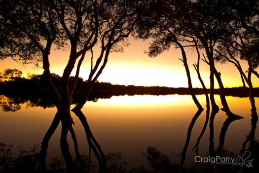 Craig Parry8