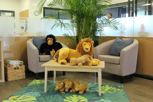 Anzac Gallery Jungle Toys