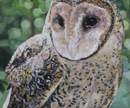 Masked Owl Jeska Valk