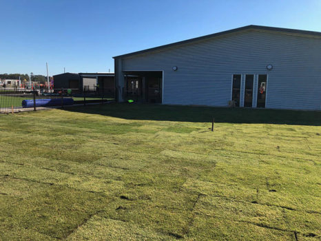 Logan Village June 2019