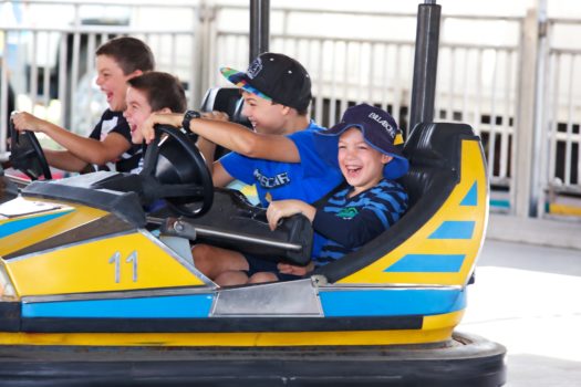Dodgems Web