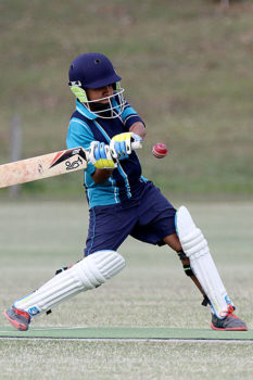 Primary-Cricket