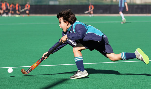 Primary-Hockey-1