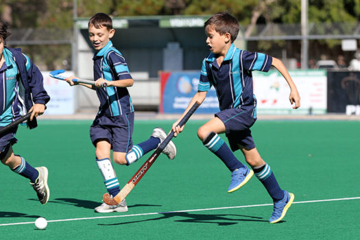 Primary-Hockey