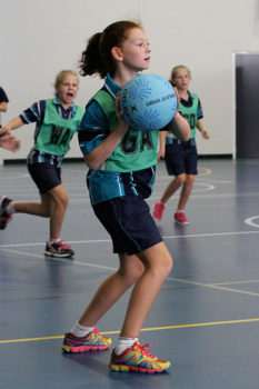 Primary-Netball