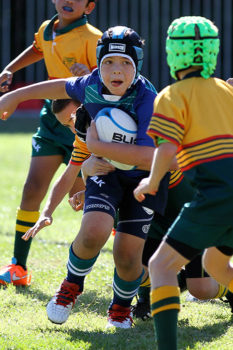 Primary-Rugby