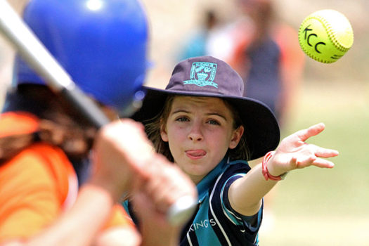 Primary-Softball