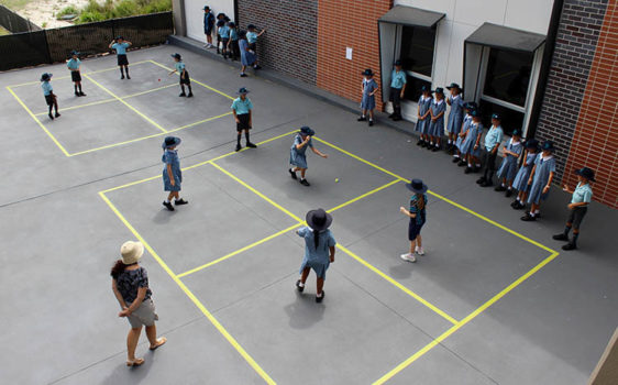 Gallery Pimpama1