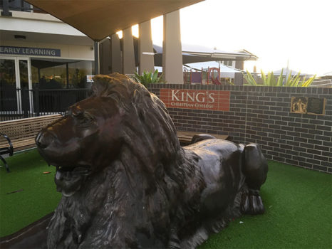 Aslan Pimpama Dawn