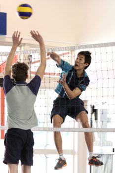 Kings-Volleyball