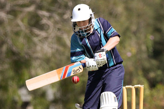 Kings-cricket