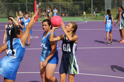 Netball B