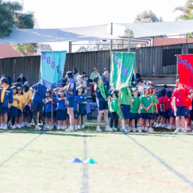 Taniawicks 0108182028 Hr