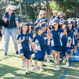 Taniawicks 0108182030 Hr