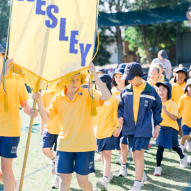 Taniawicks 0108182040 Hr