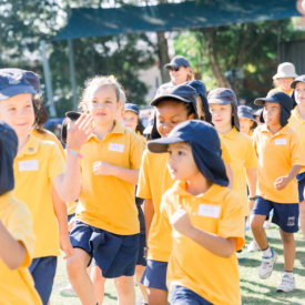 Taniawicks 0108182041 Hr