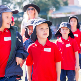 Taniawicks 0108182060 Hr