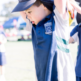 Taniawicks 0108182074 Hr