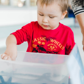 Taniawicks 15061825213 Print