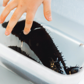 Taniawicks 15061825309 Print