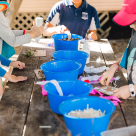 Taniawicks 15061825434 Print