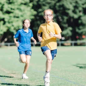 35102413 773252919540738 3302194371557851136 N