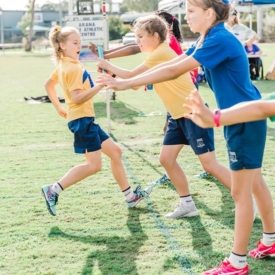 35145953 773255819540448 5386118692624924672 N