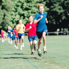 35145990 773253006207396 802112544419348480 N