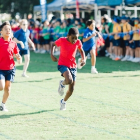 35151438 773254636207233 2237537343986728960 O