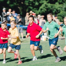 35225381 773252646207432 4425858434390294528 O