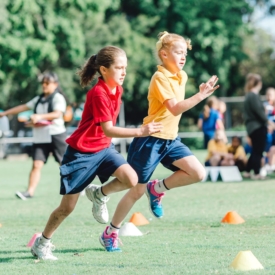 35272177 773254802873883 6620102774321315840 O