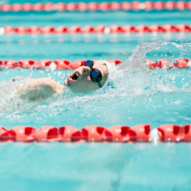 Taniawicks 2011831928