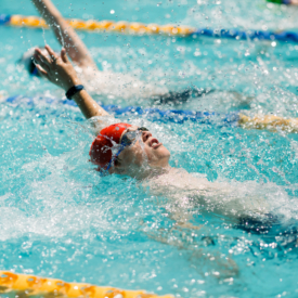 Taniawicks 2011832105