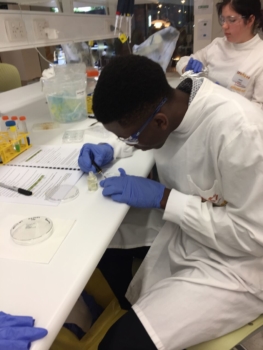 Bio 1