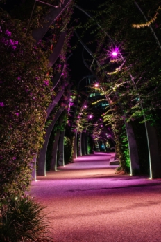 Southbank 1773263 1920 2