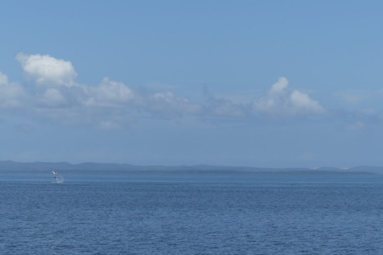 Ormiston College Year 11 Marine Science Excursion 6