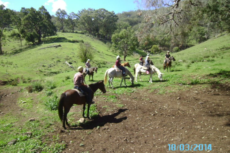 gallery-images-for-cocurricular-pages-10