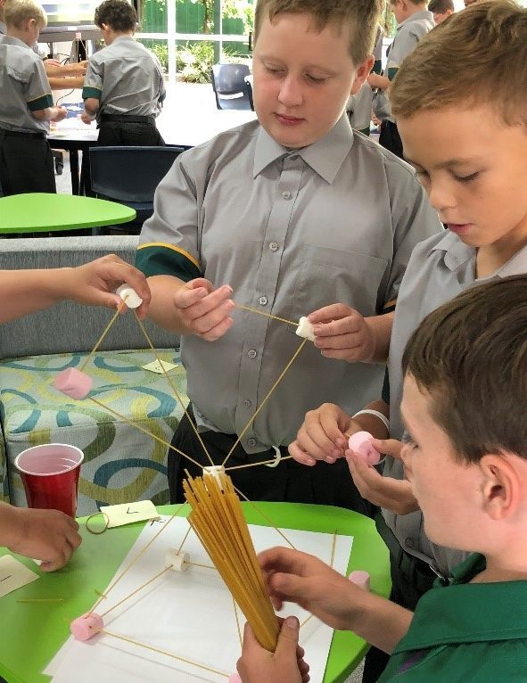 Stem-1.jpg?mtime=20190208112730#asset:94