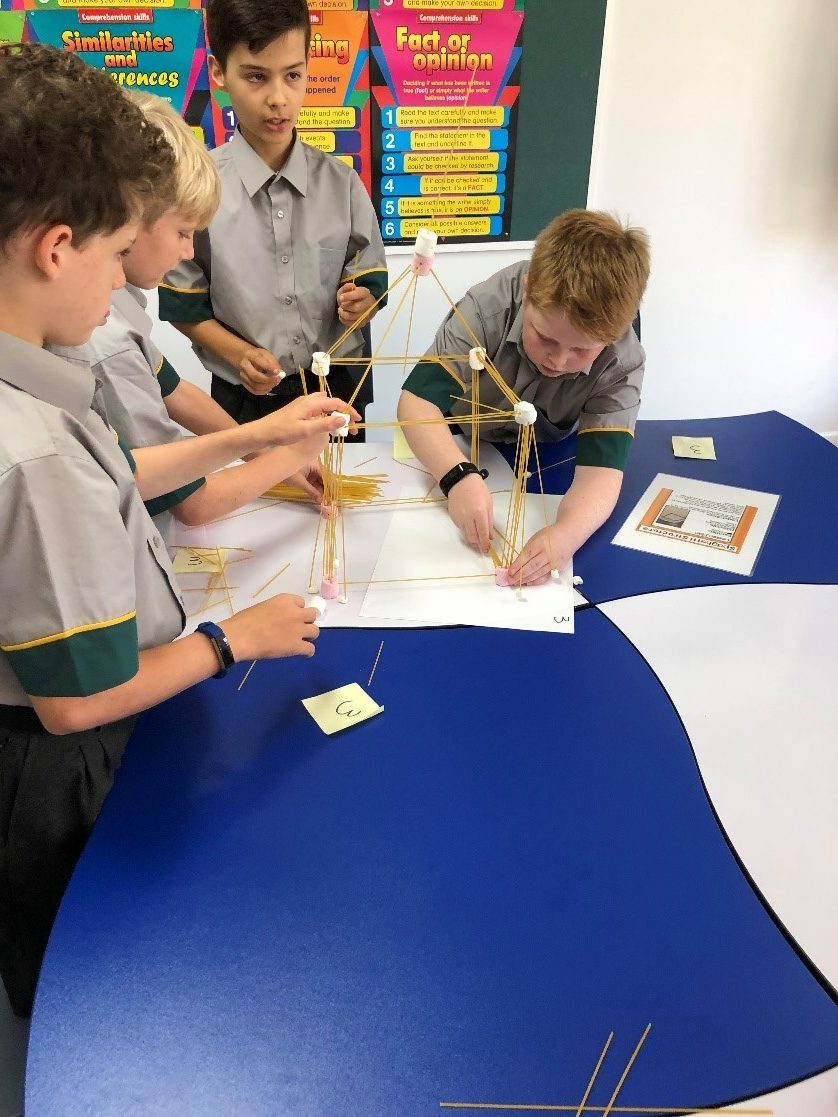 Stem-2.jpg?mtime=20190208112739#asset:94