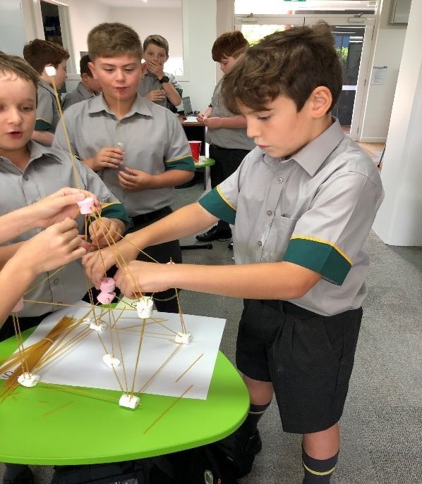 Stem-3.jpg?mtime=20190208112749#asset:94