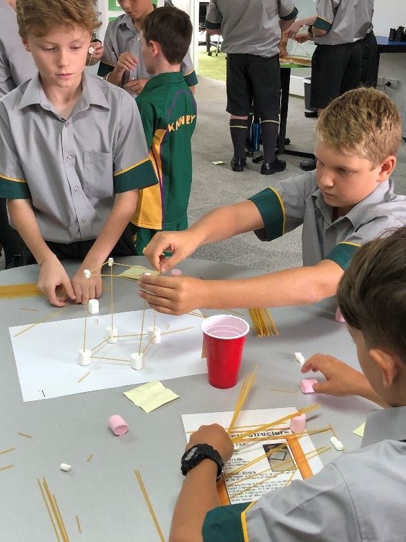 Stem-4.jpg?mtime=20190208112759#asset:94