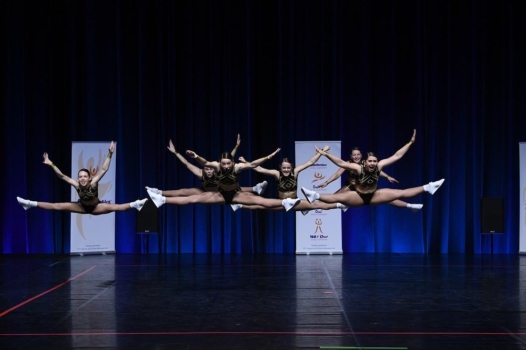Aerobics Tc
