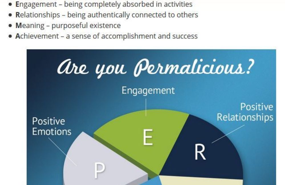 Socio-Emotional Learning to Grow Healthy Students