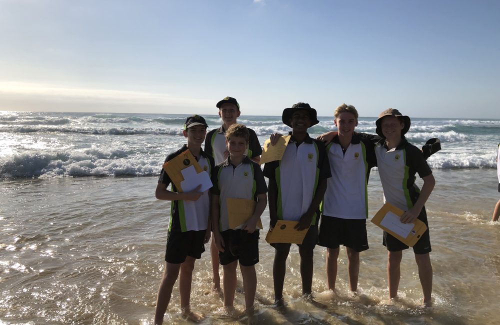 From Small Beginnings …