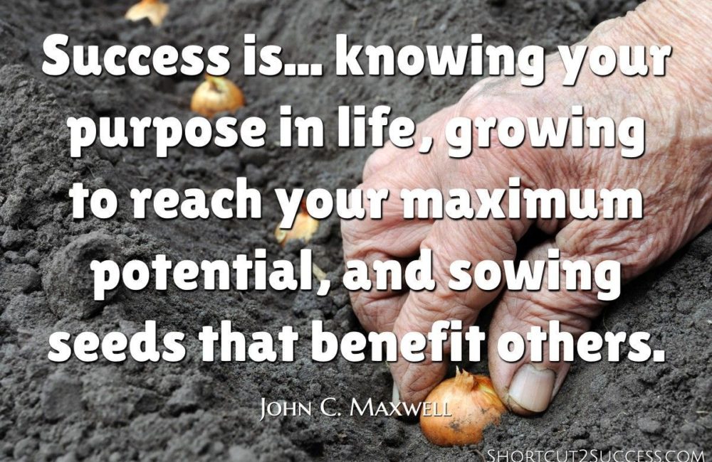 Potential and Purpose