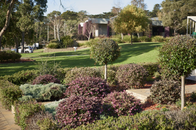 2019 Grounds Afternoon 000 0392 2000Px