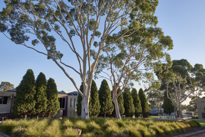 2019 Grounds Afternoon 000 0610 2000Px