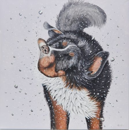 Artwork Wet Dog Shaking Cropped